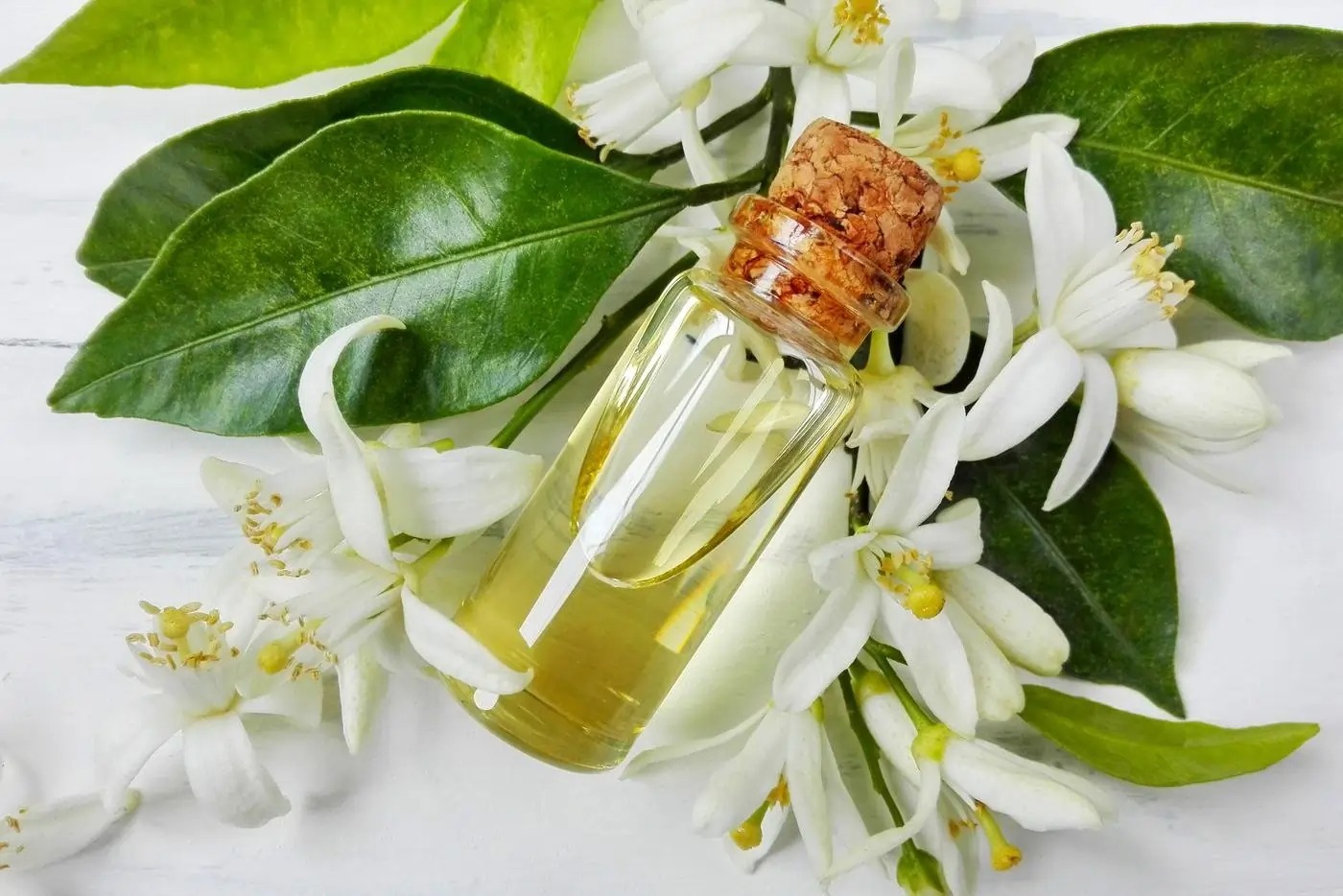 Rose Water
